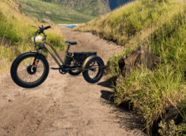 Electric Fat Trikes are popular because of their stability.