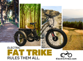 The electric Fat Trike rules all other electric trikes!