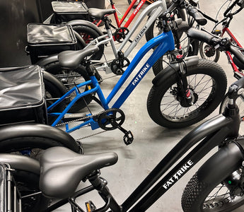 New Year, New (Fat Trike) colors!