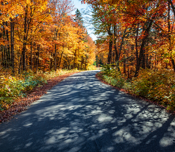 6 Routes for Awesome Fall Season Electric Trike Rides