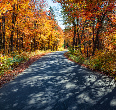 6 Routes for Awesome Fall Season Electric Trike Rides