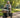 Serene older woman riding an electric tricycle on a peaceful park path in morning light