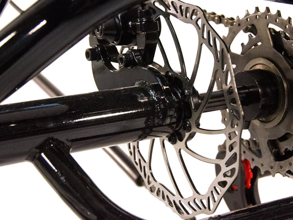 Rear Disc Brake