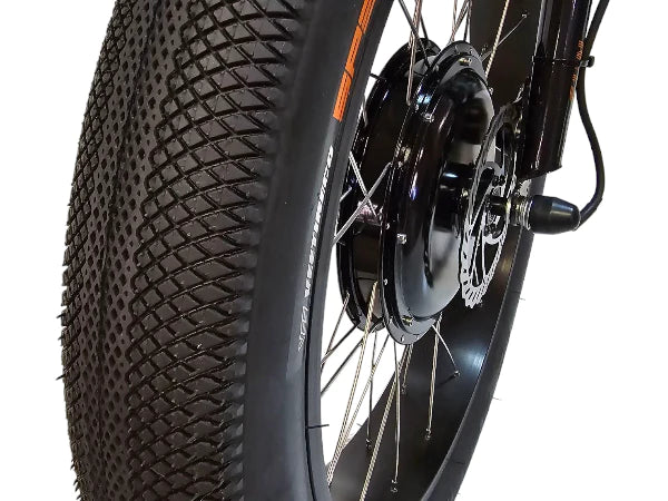 Sun Baja Electric Trike ElectricTrike